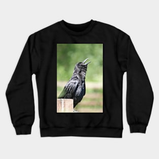 Crow sunbathing Crewneck Sweatshirt